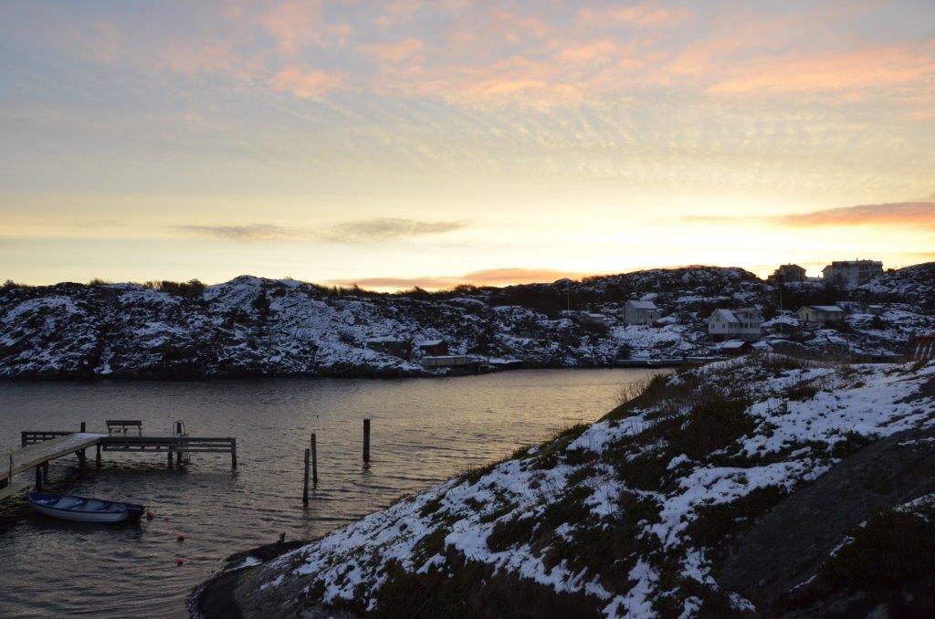 Hrn i grvder - Morgon 25  januari 2014